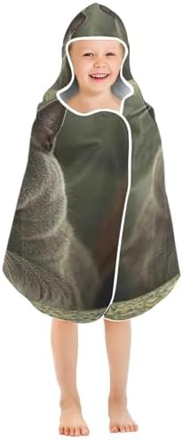CHIFIGNO Fat British Shorthair Cat Toddler Bath Towel