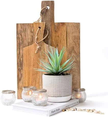 Kurrajong Farmhouse Artificial Succulent in Pot 1