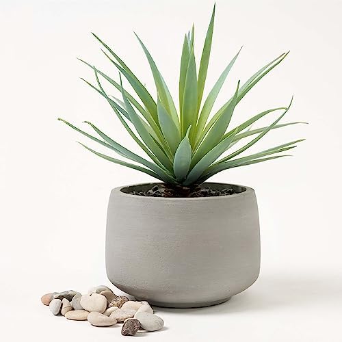 Kurrajong Farmhouse Artificial Succulent in Pot