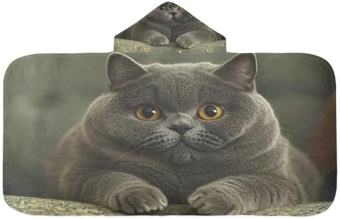 CHIFIGNO Fat British Shorthair Cat Toddler Bath Towel