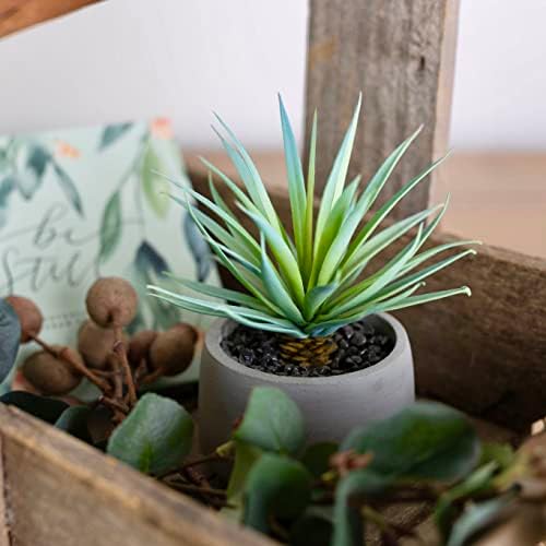 Kurrajong Farmhouse Artificial Succulent in Pot