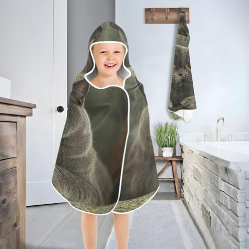 CHIFIGNO Fat British Shorthair Cat Toddler Bath Towel
