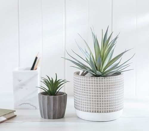 Kurrajong Farmhouse Artificial Succulent in Pot 1