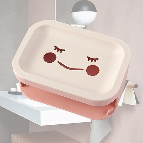 LAPYAPPE Double Layer Wall Mounted Soap Box with Sponge Brush