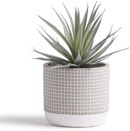 Kurrajong Farmhouse Artificial Succulent in Pot 1