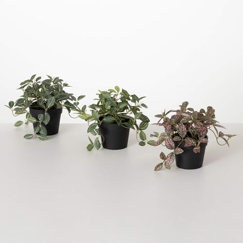 Sullivans Artificial Fittonia Plant Bundle Set of 3 1