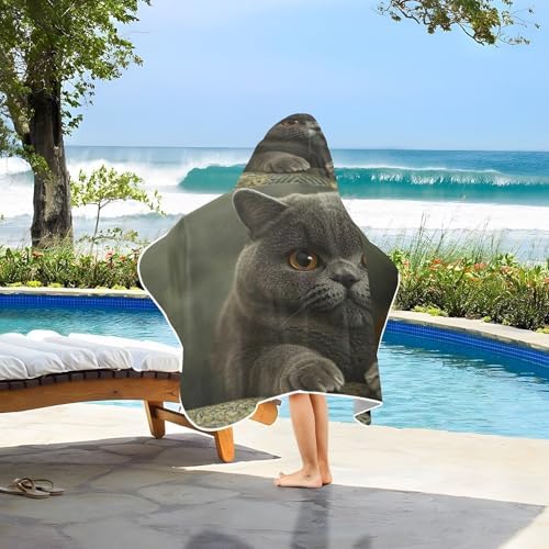 CHIFIGNO Fat British Shorthair Cat Toddler Bath Towel