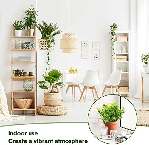 Cindeer 50 Pcs Artificial Boxwood Stems Greenery