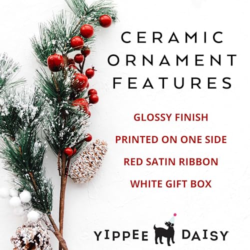 Yippee Daisy Family Christmas Ornament 2024