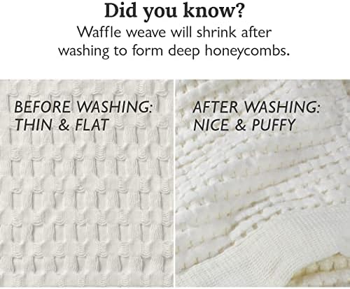 Gilden Tree Waffle Towels - Cream Set of 2