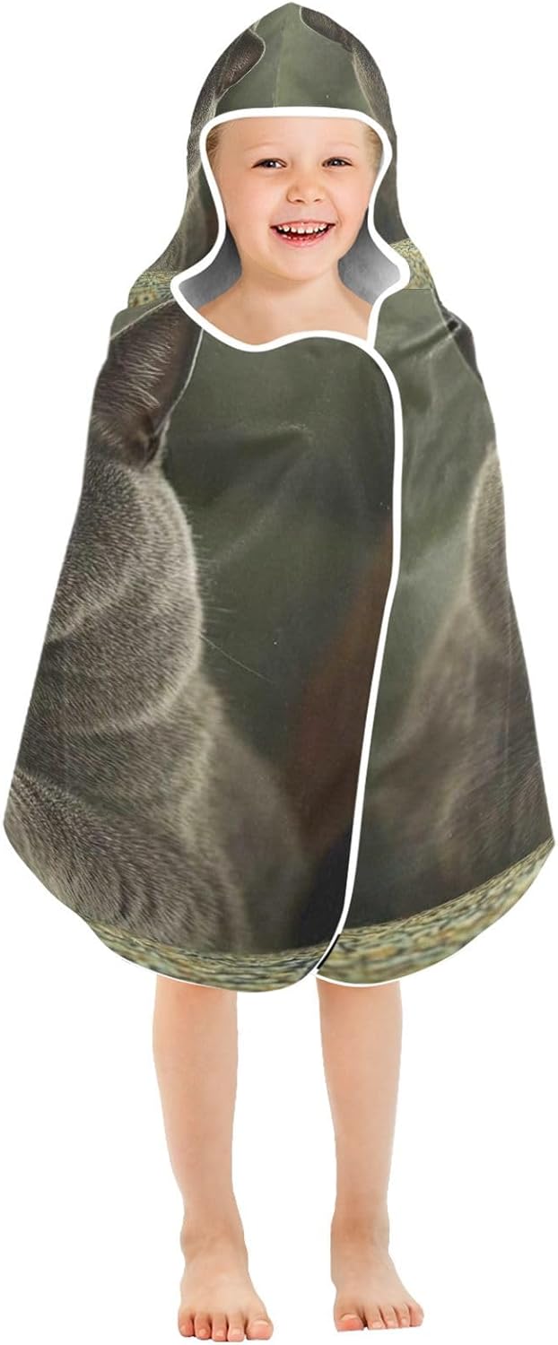 CHIFIGNO Fat British Shorthair Cat Toddler Bath Towel