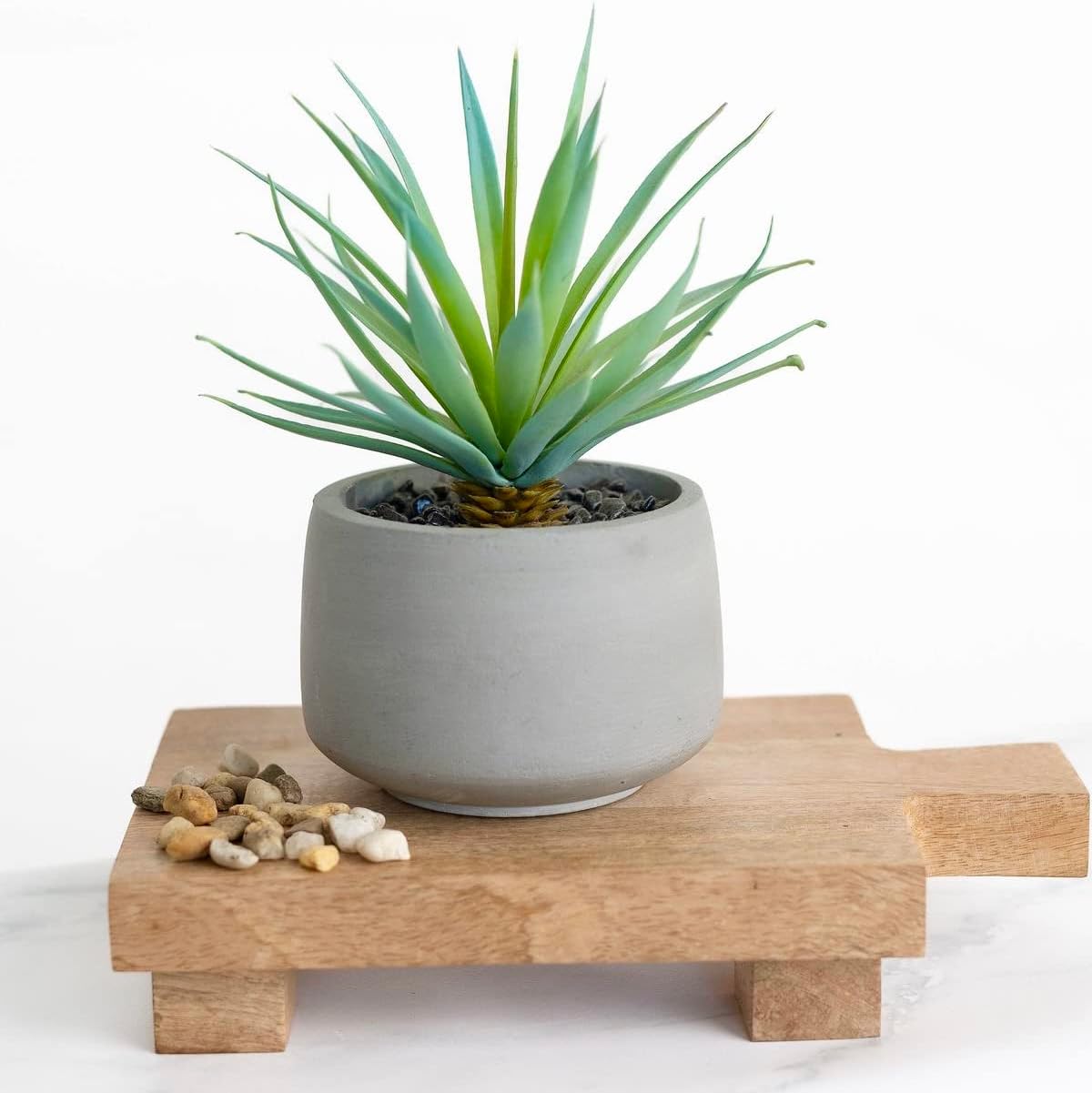 Kurrajong Farmhouse Artificial Succulent in Pot