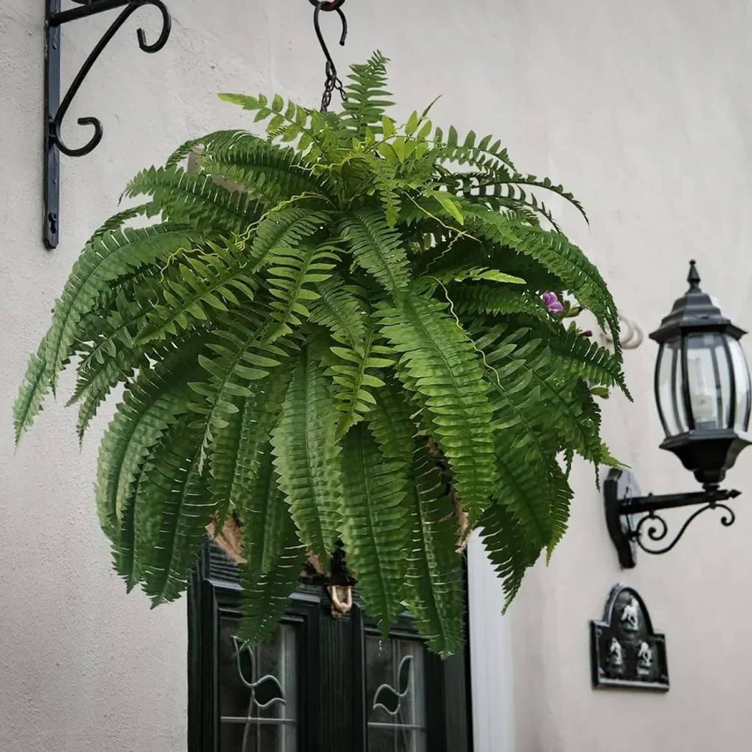 RJDJ UV Resistant Artificial Boston Fern 24 Leaves 1PCS