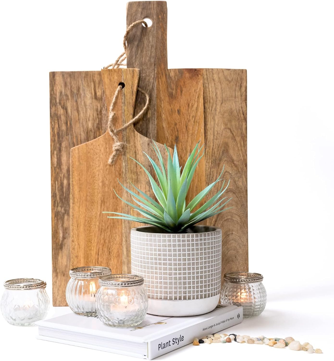 Kurrajong Farmhouse Artificial Succulent in Pot 1