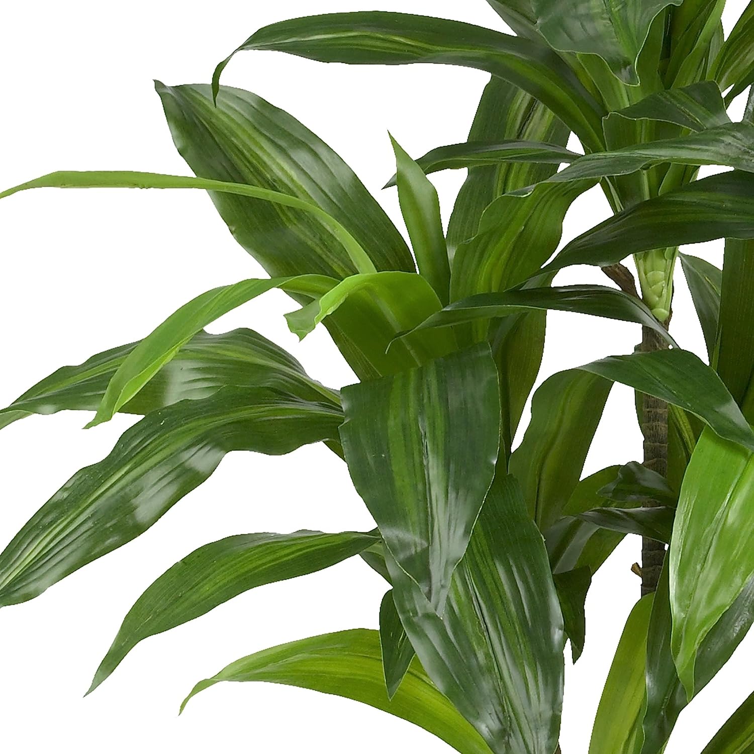 Nearly Natural 48in Dracaena Artificial Plant with Basket