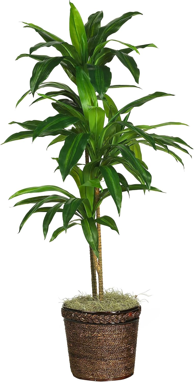 Nearly Natural 48in Dracaena Artificial Plant with Basket