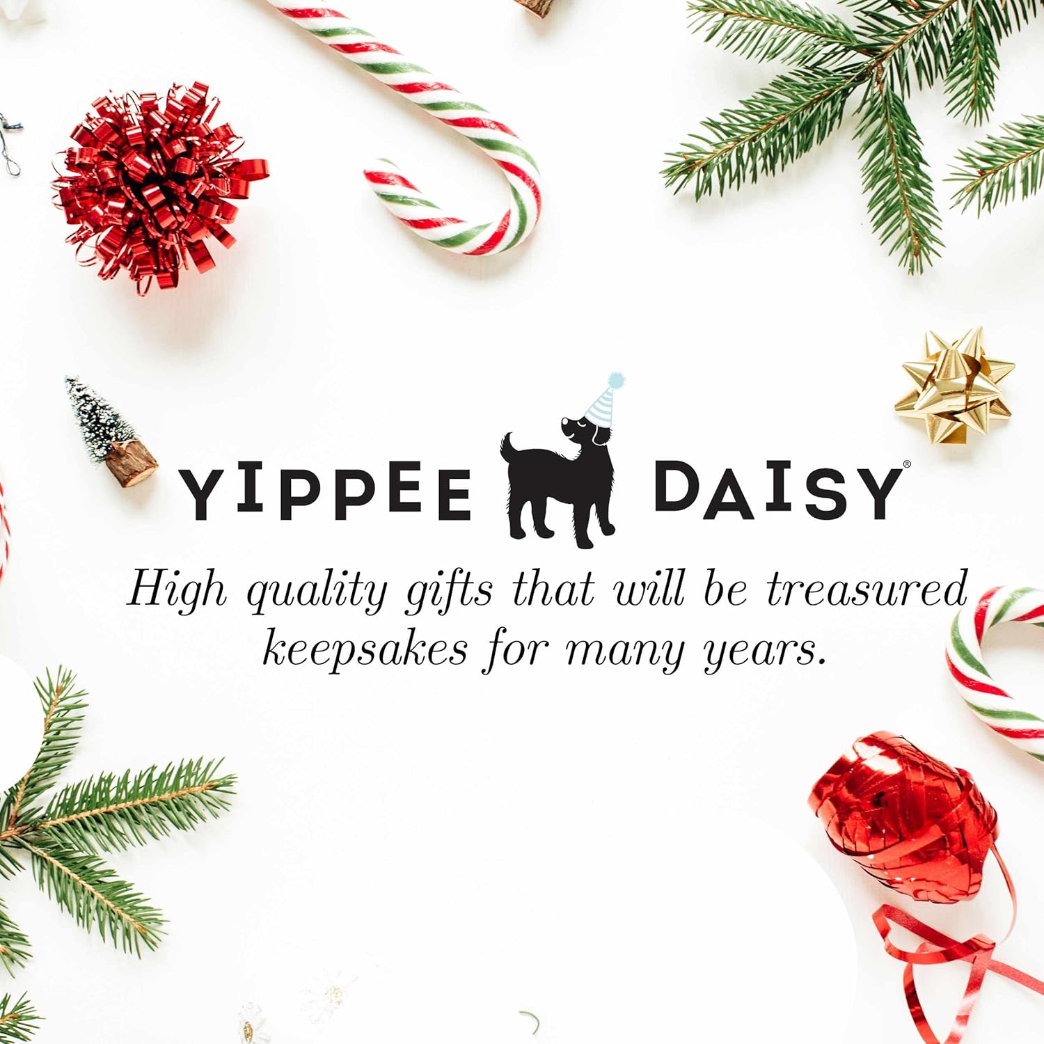 Yippee Daisy Family Christmas Ornament 2024
