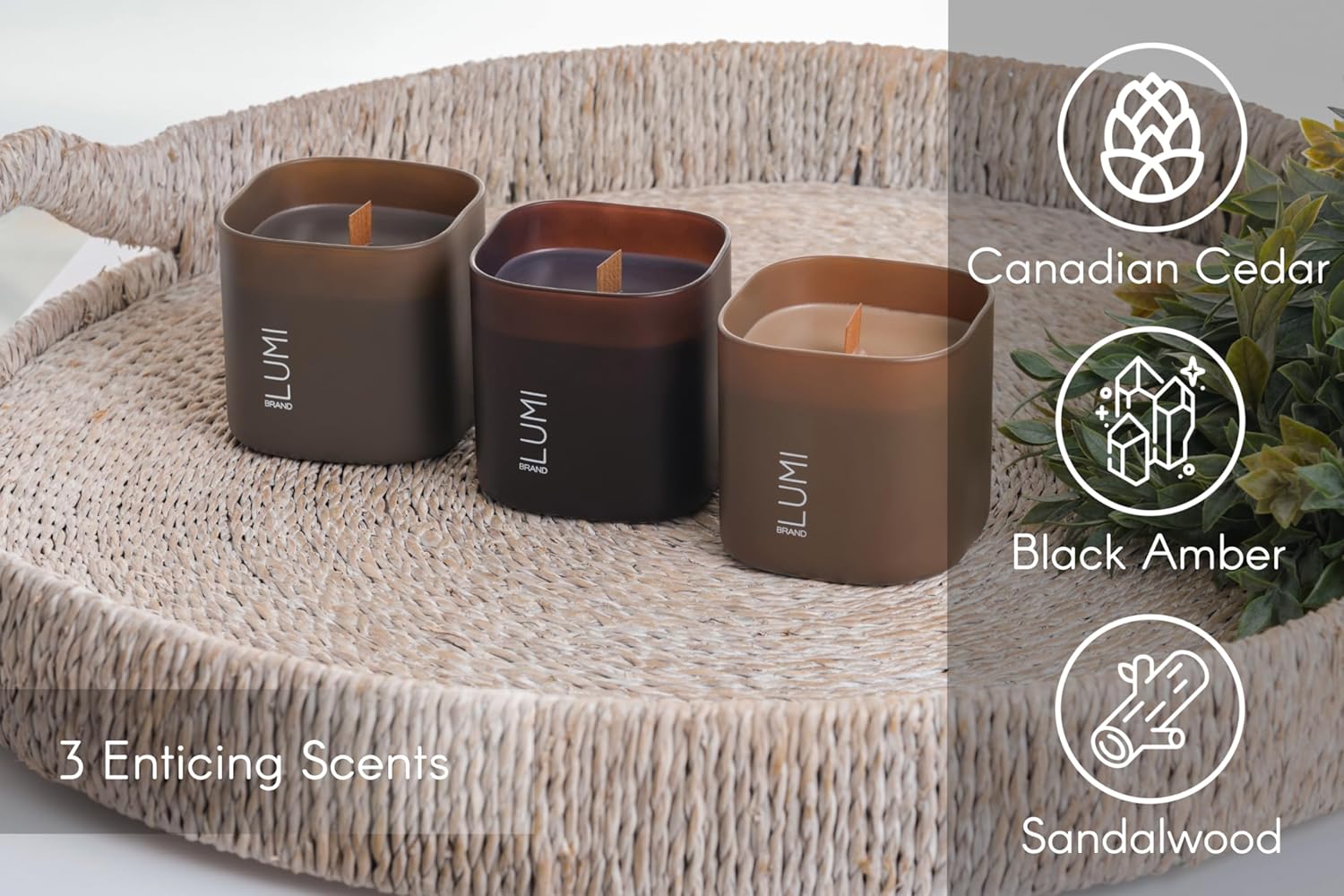 Set of 3 Scented Soy Candles Dusk to Dawn Collection
