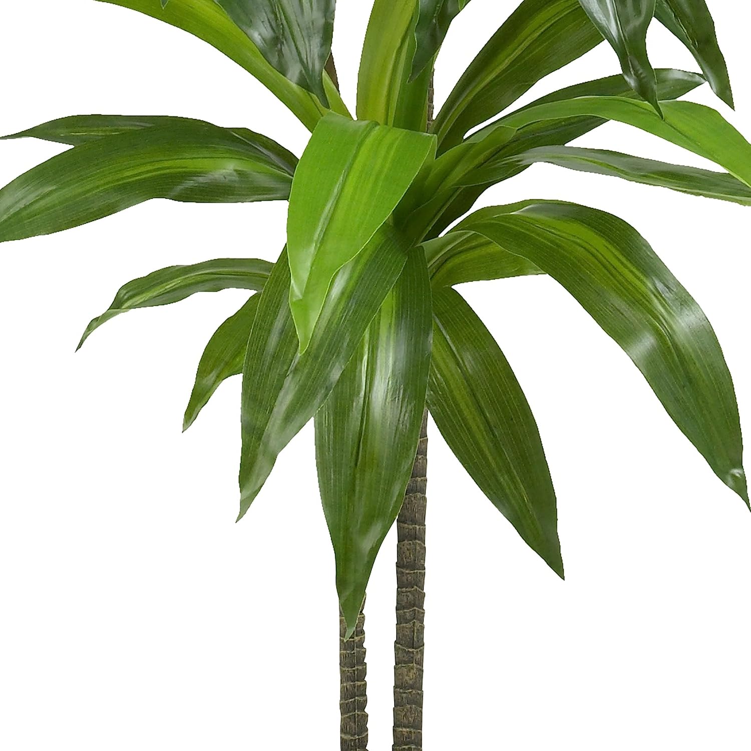 Nearly Natural 48in Dracaena Artificial Plant with Basket